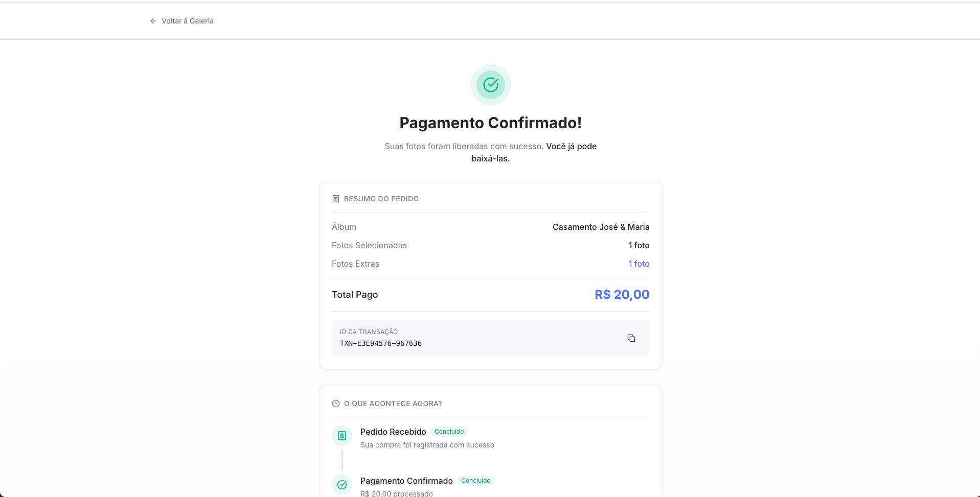 Tela verde de Pagamento Confirmado com instrução de download