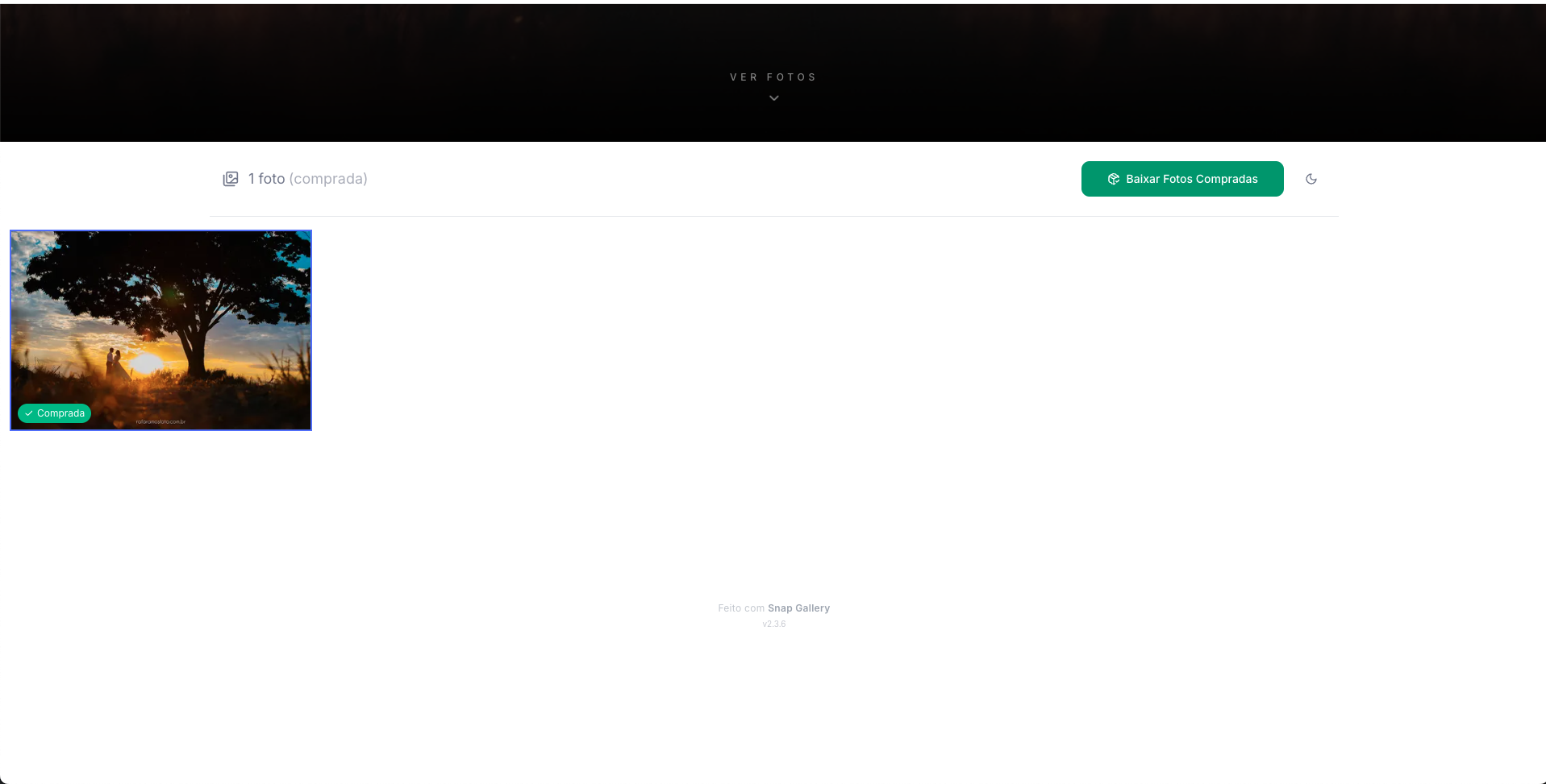 Galeria do cliente mostrando a foto comprada com tag verde e botão Baixar Fotos Compradas